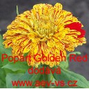 Ost&aacute;lka sličn&aacute;, lep&aacute; Popart Golden Red