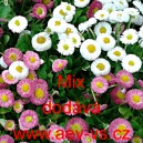 Sedmikr&aacute;ska obecn&aacute; Mix