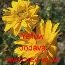 Janeba drsn&aacute; Yellow