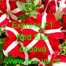 Pet&uacute;nie velkokvět&aacute; Express F1 Red Star