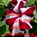 Pet&uacute;nie velkokvět&aacute; Express F1 Crimson Star