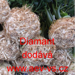 Celer bulvov&yacute; Diamant