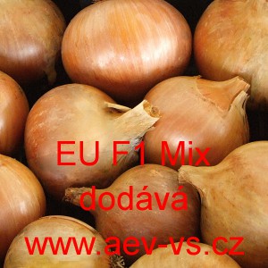 Cibule jarn&iacute; kuchyňsk&aacute; hybridn&iacute; žlutohněd&aacute;  EU F1 Mix