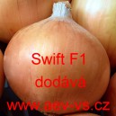 Cibule ozim&aacute; kuchyňsk&aacute; Swift