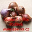 Cibule &scaron;alotka hybridn&iacute; Colour F1 Mix