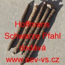 Čern&yacute; kořen Had&iacute; mord &scaron;panělsk&yacute; Hoffmans Schwarze Pfahl