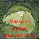 Kapusta hl&aacute;vkov&aacute; hybridn&iacute; Alaska F1