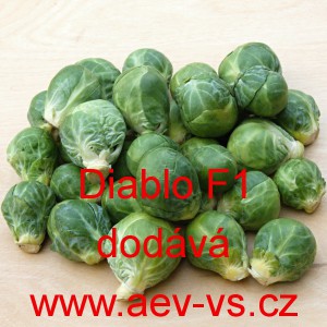 Kapusta růžičkov&aacute; hybridn&iacute; Diablo F1