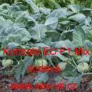 Kedluben b&iacute;l&yacute; hybridn&iacute; ran&yacute; Kohlrabi EU F1 Mix