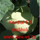 Kedluben b&iacute;l&yacute; hybridn&iacute; Kordial F1