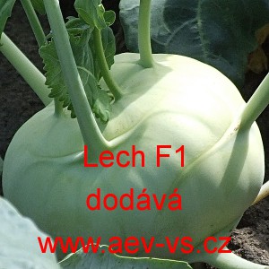 Kedluben b&iacute;l&yacute; hybridn&iacute; Lech F1