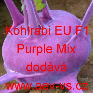 Kedluben modr&yacute; poloran&yacute; hybridn&iacute; Kohlrabi EU F1 Purple Mix