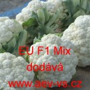 Květ&aacute;k hybridn&iacute; "celoročn&iacute;" zahraničn&iacute; EU F1 Mix