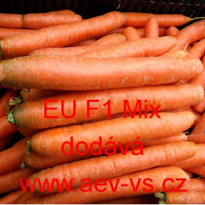 Mrkev obecn&aacute; hybridn&iacute; Nantes/Berlikum polopozdn&iacute; EU F1 Mix