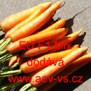 Mrkev obecn&aacute; hybridn&iacute; Berlicum/Flak&eacute;e EU F1 Mix