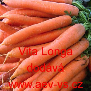 Mrkev obecn&aacute; Flakkese 2 Vita Longa