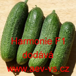 Okurka set&aacute; nakl&aacute;dačka hybridn&iacute; partenokarpick&aacute; Harmonie F1