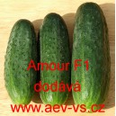 Okurka set&aacute; nakl&aacute;dačka hybridn&iacute; partenokarpick&aacute; Amour F1