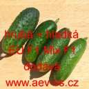 Okurka set&aacute; nakl&aacute;dačka hybridn&iacute; partenokarpick&aacute; do sklen&iacute;ku EU F1 Mix