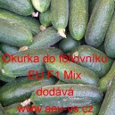 Okurka set&aacute; nakl&aacute;dačka hybridn&iacute; partenokarpick&aacute; do f&oacute;liovn&iacute;ku EU F1 Mix