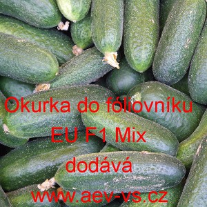 Okurka set&aacute; nakl&aacute;dačka hybridn&iacute; partenokarpick&aacute; do f&oacute;liovn&iacute;ku EU F1 Mix