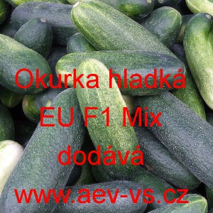 Okurka set&aacute; nakl&aacute;dačka hybridn&iacute; "hladk&aacute;" EU F1 Mix