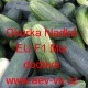 Okurka setá nakládačka hybridní "hladká" EU F1 Mix