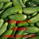 Okurka set&aacute; nakl&aacute;dačka hybridn&iacute; Othello F1 