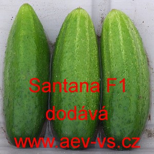 Okurka set&aacute; nakl&aacute;dačka hybridn&iacute; Santana F1