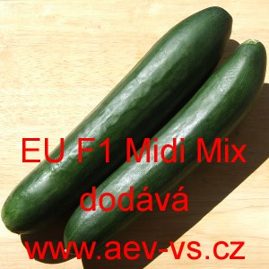 Okurka set&aacute; sal&aacute;tov&aacute; hybridn&iacute; "hadovka" do sklen&iacute;ku EU F1 Midi Mix