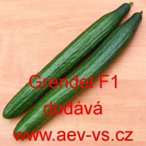 Okurka set&aacute; sal&aacute;tov&aacute; hybridn&iacute; "hadovka" do sklen&iacute;ku Grendel F1