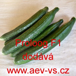 Okurka set&aacute; sal&aacute;tov&aacute; hybridn&iacute; "hadovka" do sklen&iacute;ku Proloog F1