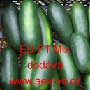 Okurka set&aacute; sal&aacute;tov&aacute; hybridn&iacute; zahraničn&iacute; na z&aacute;hon EU F1 Mix