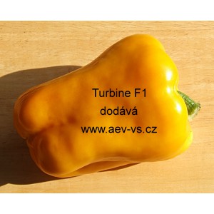 Paprika ročn&iacute; zeleninov&aacute; hybridn&iacute; Turbine F1