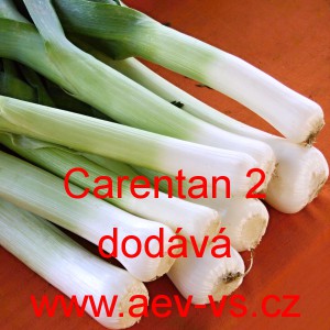 P&oacute;r zahradn&iacute; Carentan 2