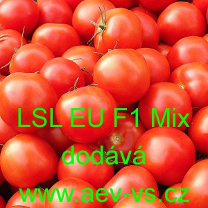 Rajče tyčkov&eacute; hybridn&iacute; do sklen&iacute;ku LSL EU F1 Mix