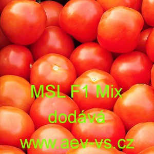 Rajče tyčkov&eacute; hybridn&iacute; do sklen&iacute;ku MSL F1 Mix