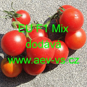 Rajče tyčkov&eacute; hybridn&iacute; do sklen&iacute;ku EU F1 Mix