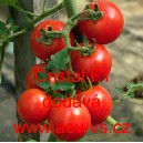 Rajče polotyčkov&eacute; hybridn&iacute; Cristal F1