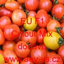 Rajče tyčkov&eacute; hybridn&iacute; až dlouze ov&aacute;ln&eacute; EU F1 Colour Mix