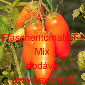 Rajče tyčkov&eacute; hybridn&iacute; Flaschentomate F1 Mix