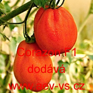 Rajče tyčkov&eacute; hybridn&iacute; Corazon F1