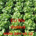 Sal&aacute;t hl&aacute;vkov&yacute; k rychlen&iacute; ve sklen&iacute;ku EU Mix