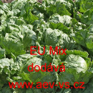 Sal&aacute;t hl&aacute;vkov&yacute; ledov&yacute; na z&aacute;hon EU Mix