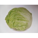 Sal&aacute;t hl&aacute;vkov&yacute; ledov&yacute; Feddenas RZ