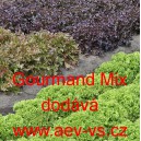 Sal&aacute;t listov&yacute; Gourmand Mix