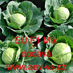 Zel&iacute; hl&aacute;vkov&eacute; b&iacute;l&eacute; hybridn&iacute; pro př&iacute;m&yacute; konzum ran&eacute; EU F1 Mix