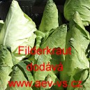 Zel&iacute; hl&aacute;vkov&eacute; b&iacute;l&eacute; &scaron;pičat&eacute; Filderkraut