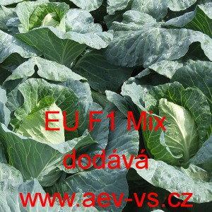 Zel&iacute; hl&aacute;vkov&eacute; b&iacute;l&eacute; hybridn&iacute; &scaron;pičat&eacute; EU F1 Mix